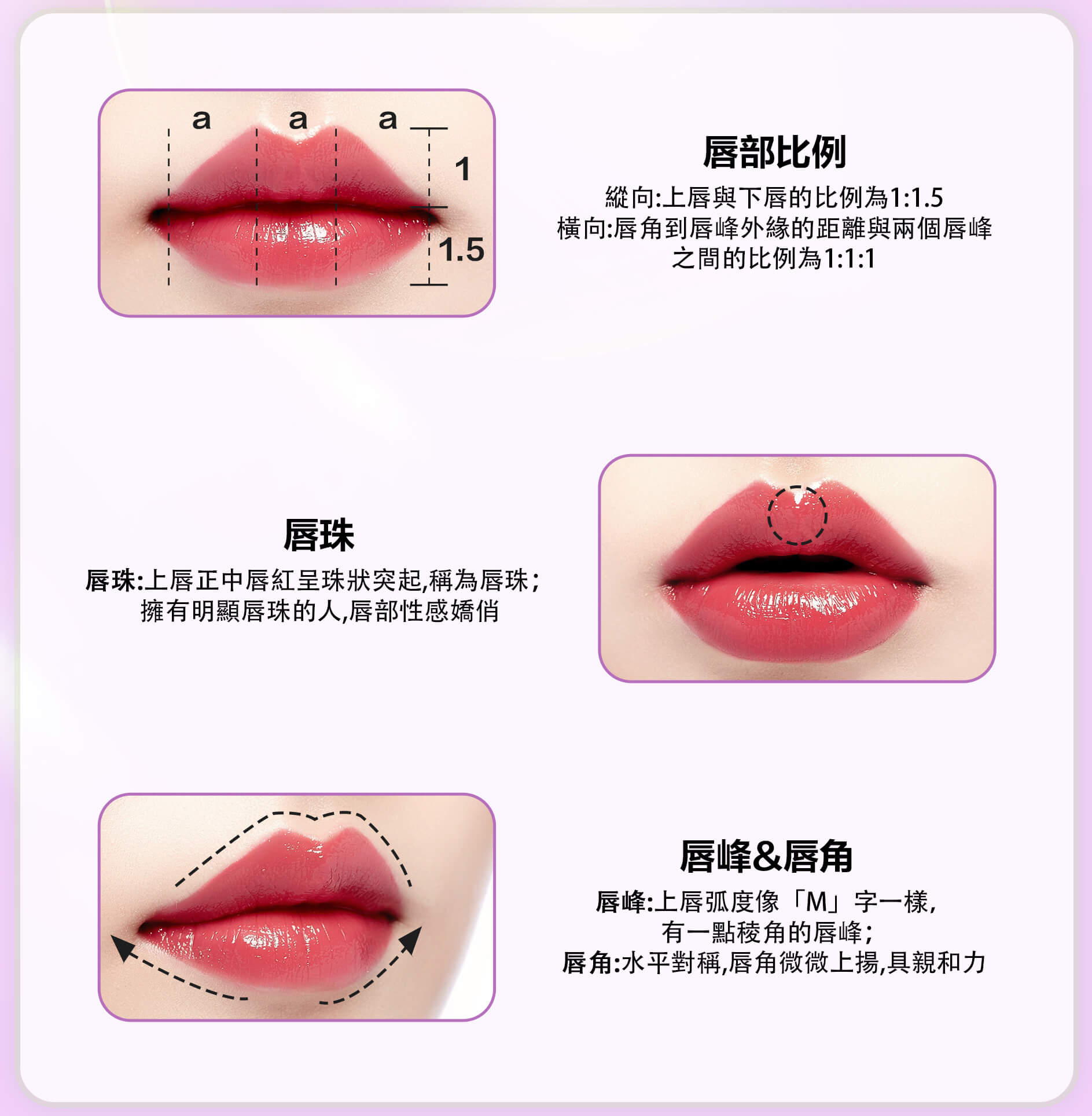 玻尿酸豐唇唇形01