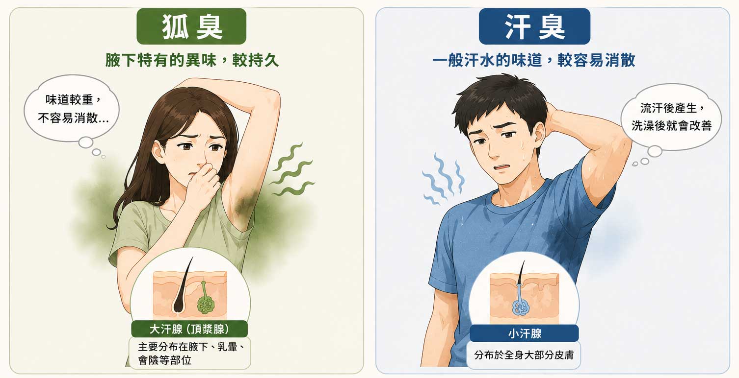狐臭2